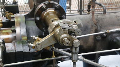 Expansion of export market